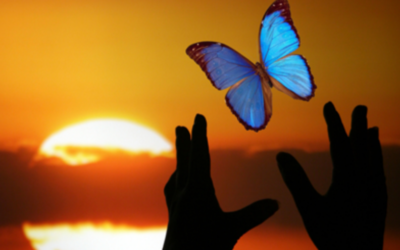 Last Night I Was Triggered … a Story of Transformation