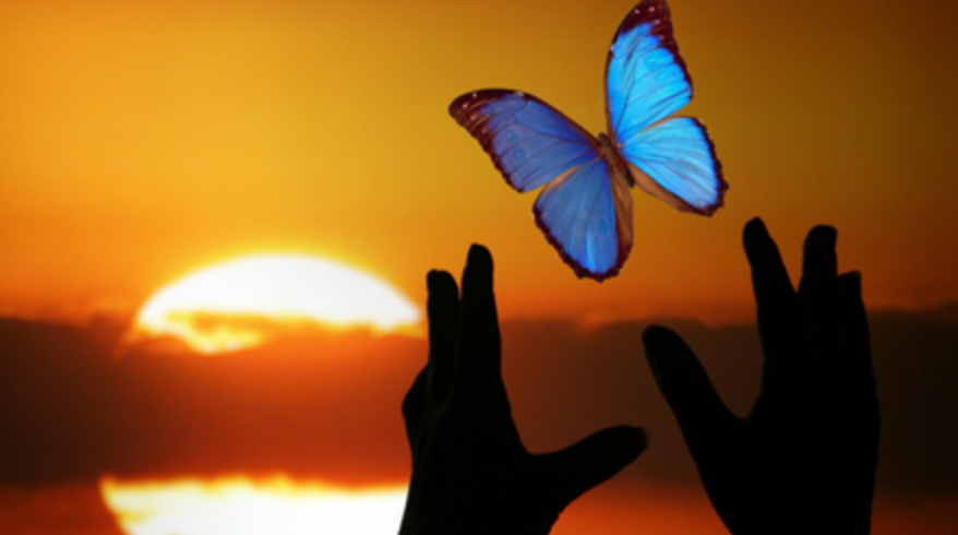 Last Night I Was Triggered … a Story of Transformation